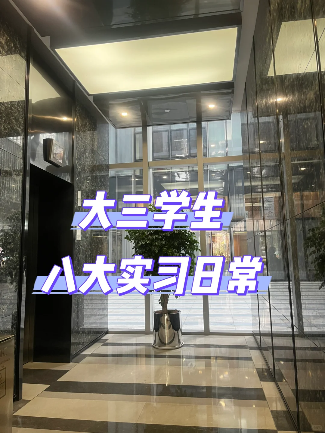 📚到💼：从好奇到实习｜我走进了写字楼