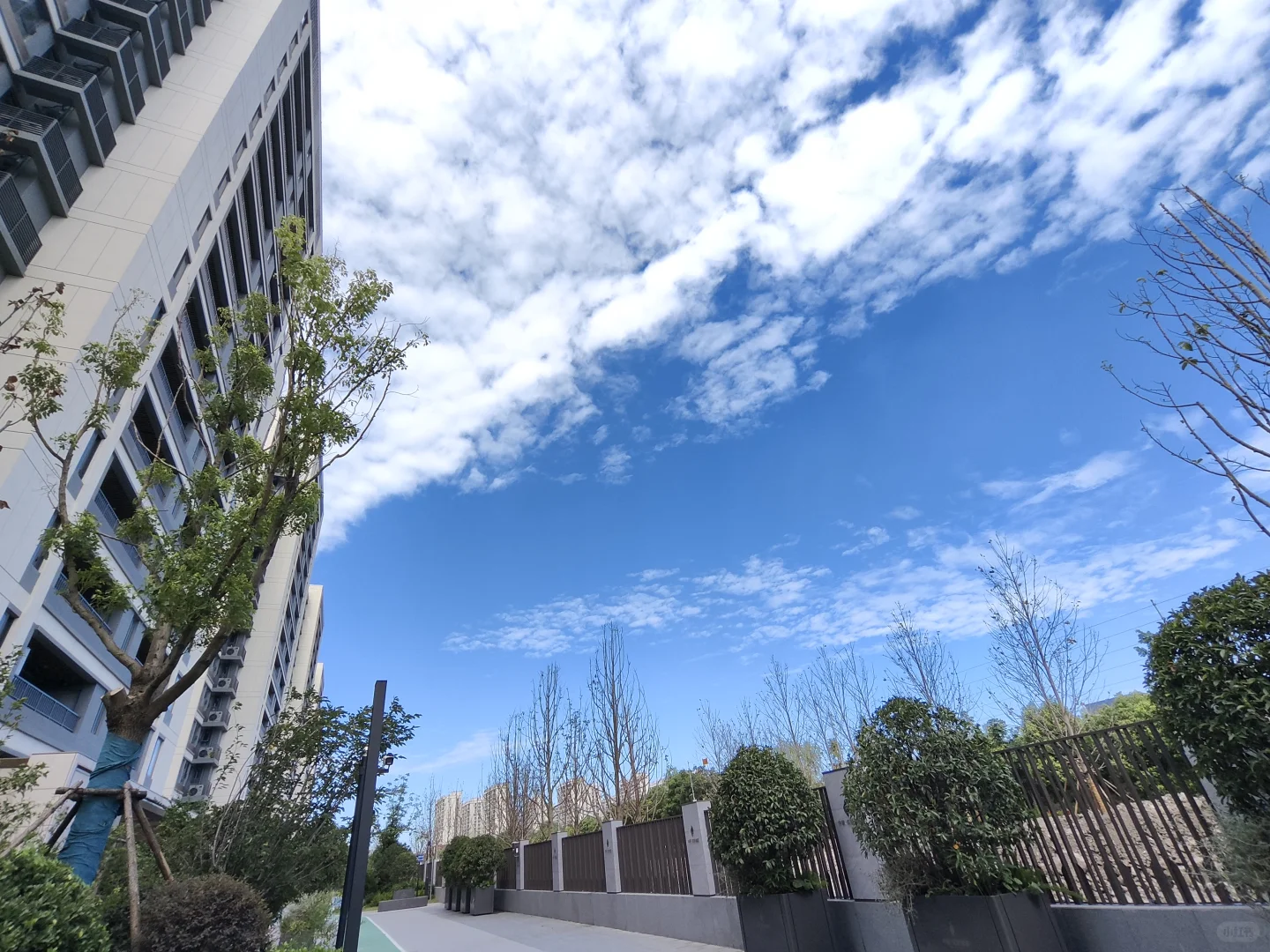 #中铁虹桥逸都租房 ＃新房出租＃找室友