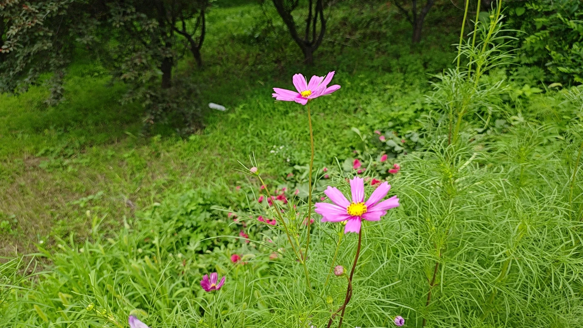 现在的困境是知道房价还没到底又不能卖房