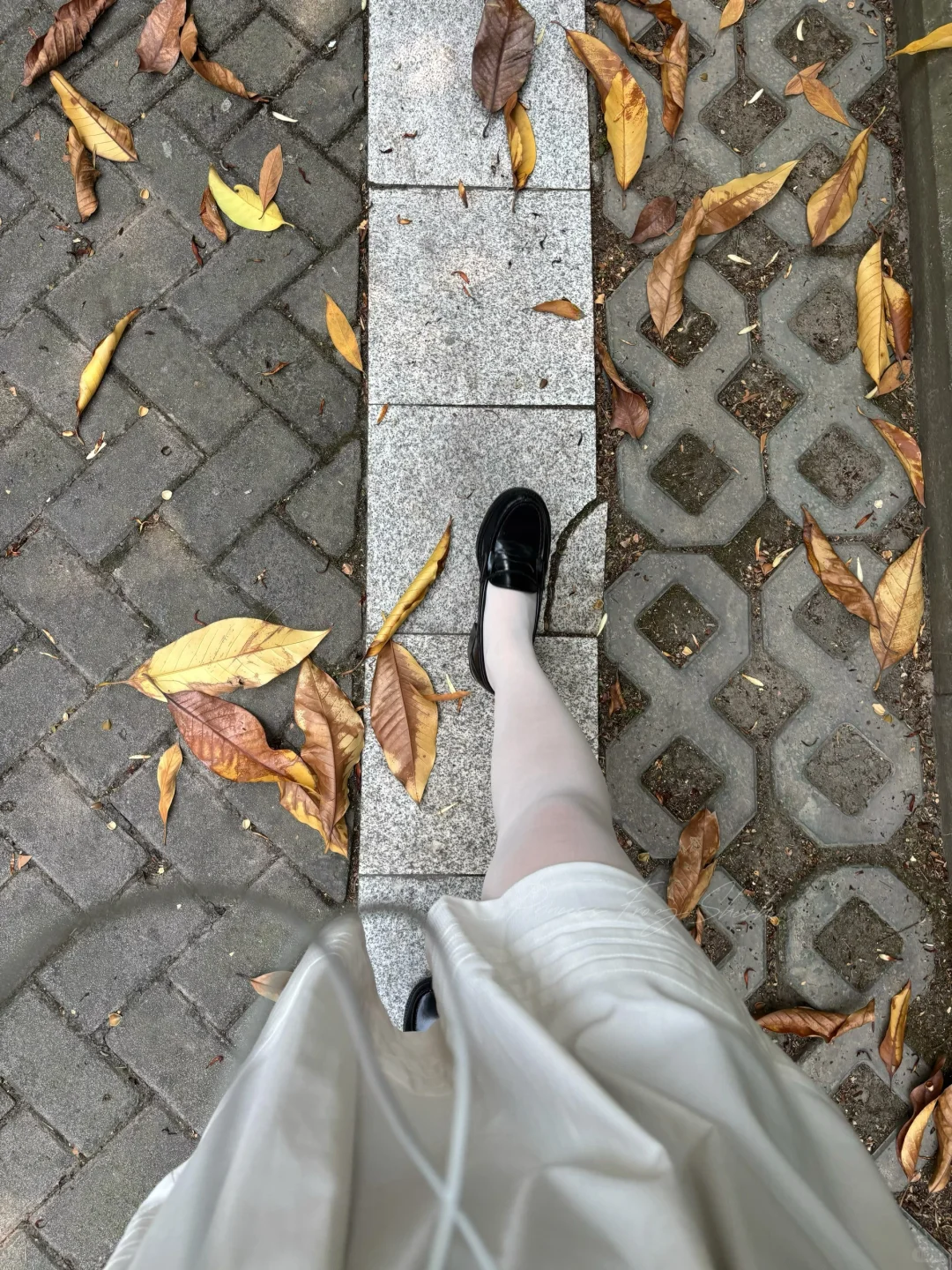 毕业🎓典礼