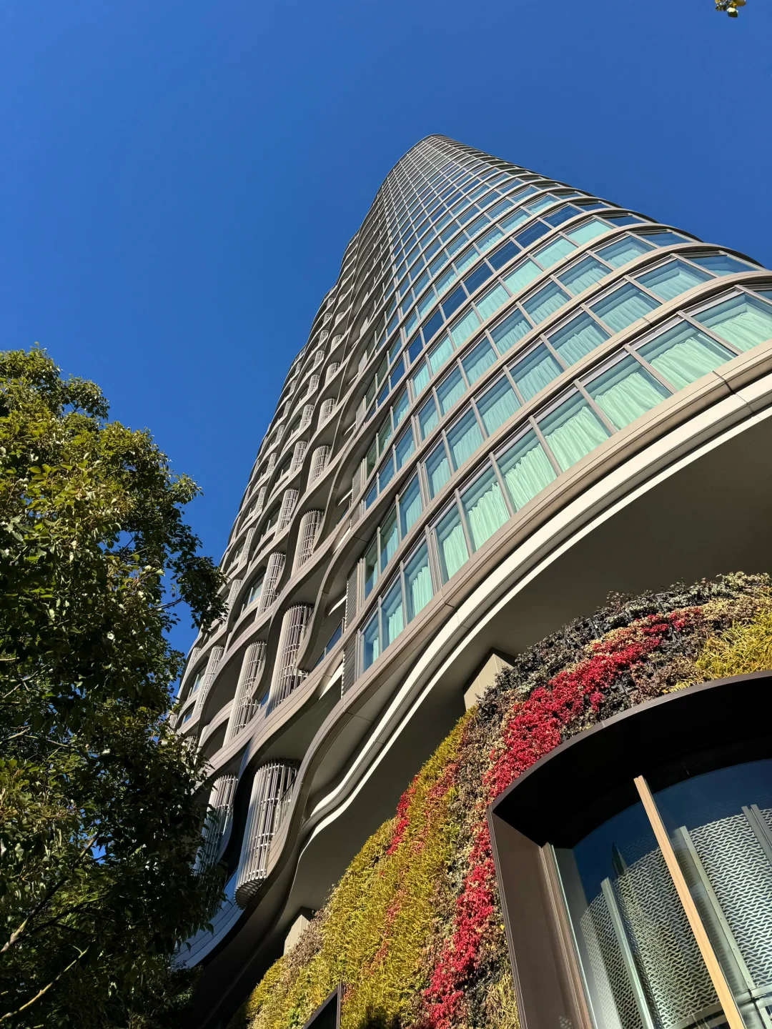 我是东京房产中介，但我要说点大实话