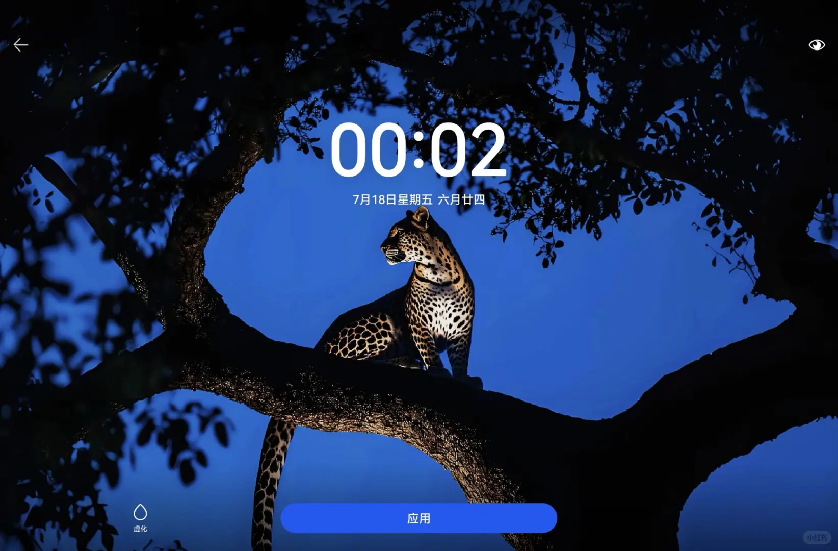 猎豹🐆高清氛围感壁纸｜手机+平板