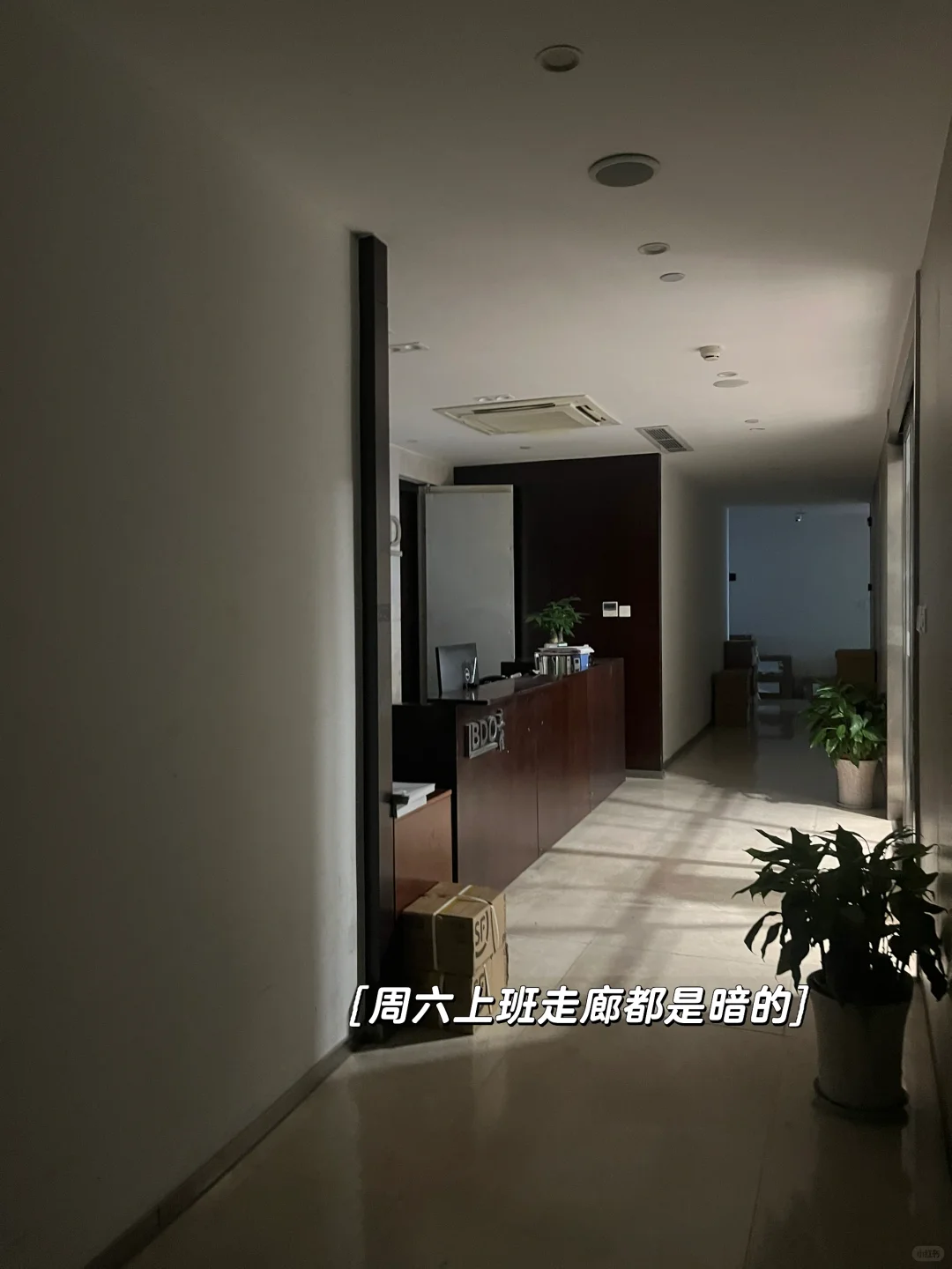 📚到💼：从好奇到实习｜我走进了写字楼