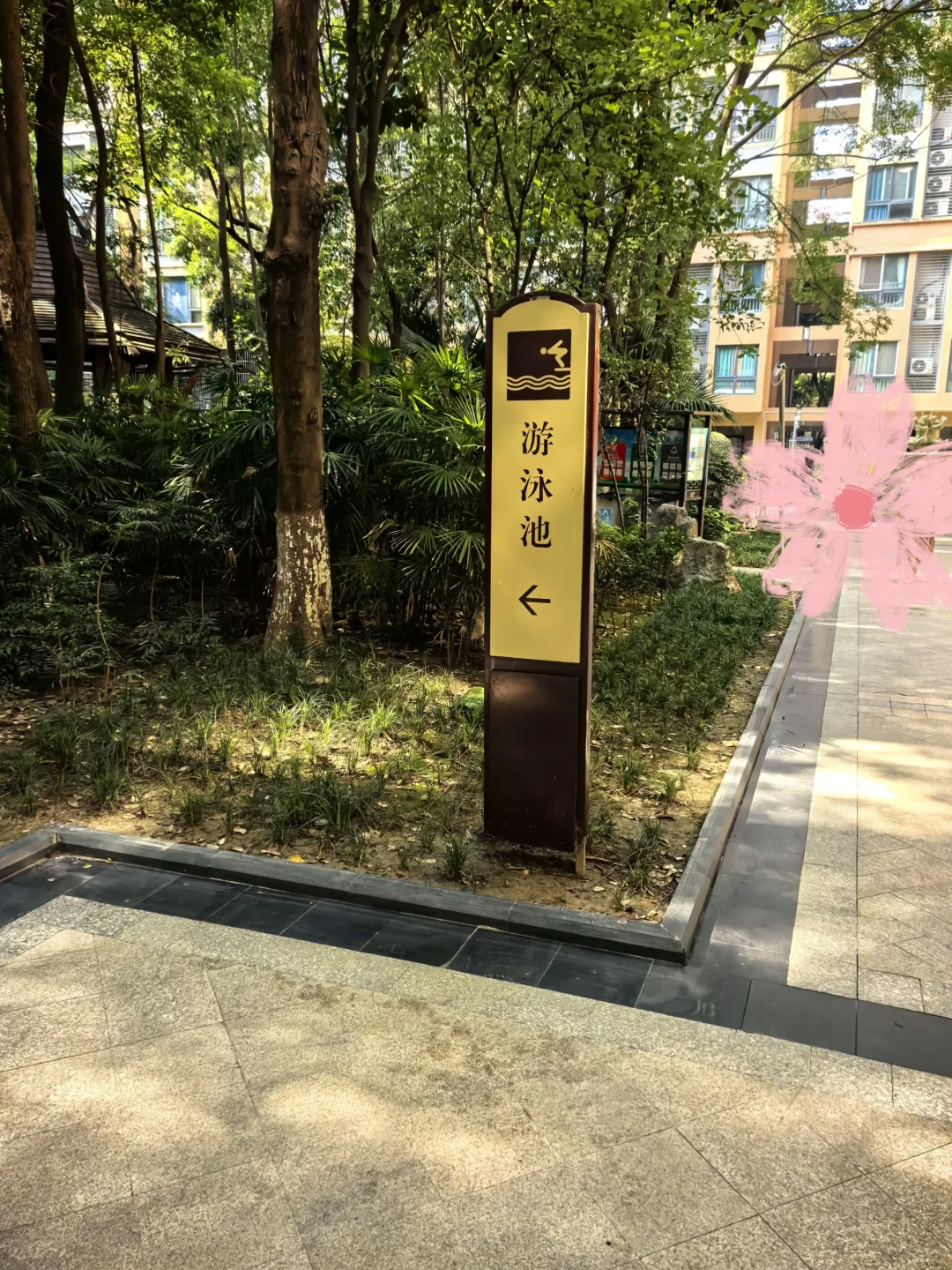 🌳房东自卖成华区房，我在小红书卖房四天