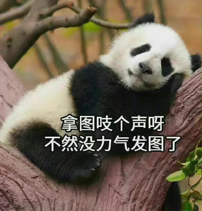 没结局的故事太多要习惯相遇与离别