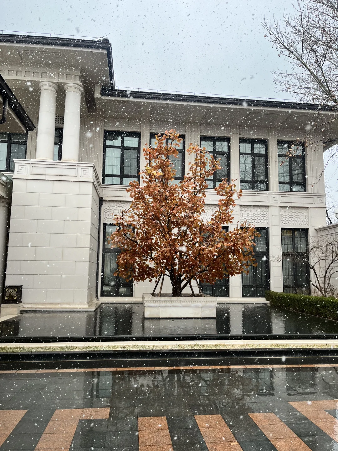 不愧是朝阳第一墅｜北京春雪❄️润泽御府好美