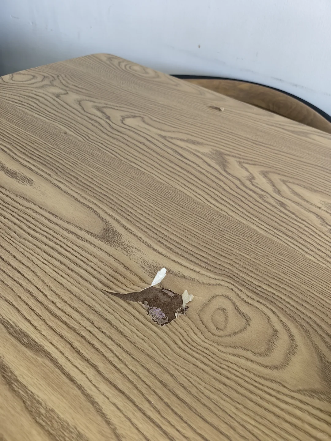这就是租房宠物友好的后果？？？