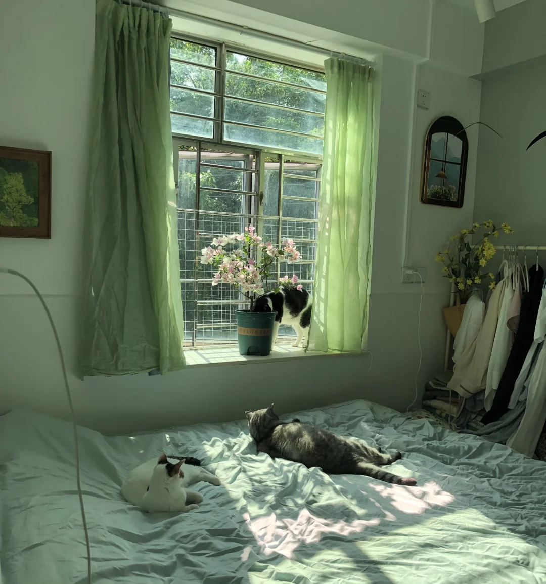 城中村破出租屋的一些改造思路
