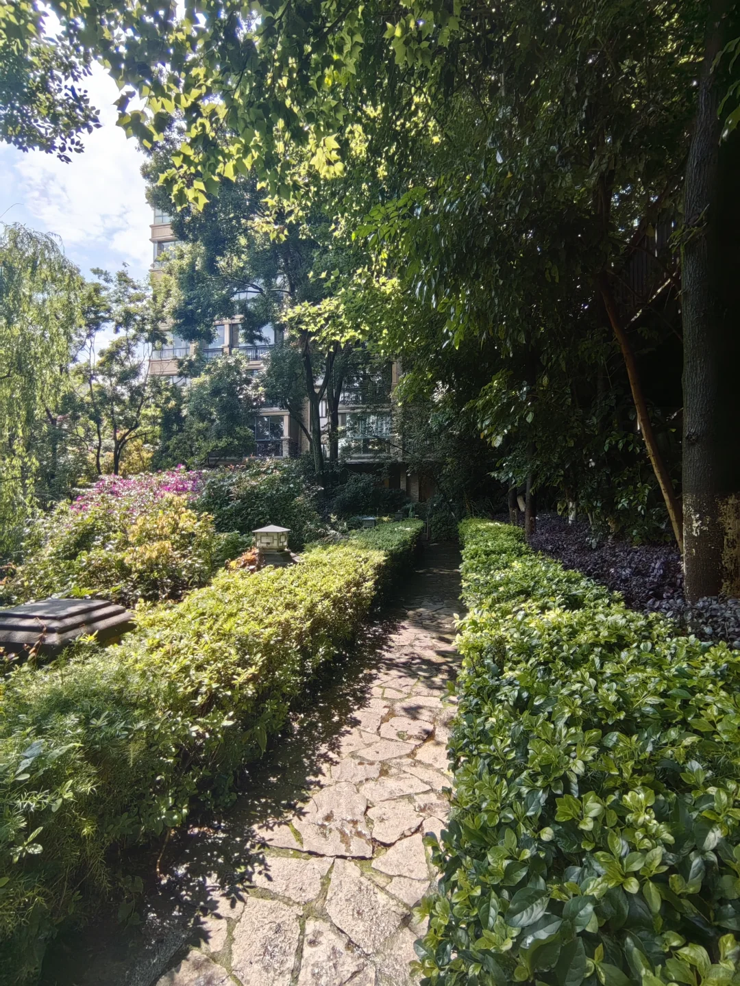 🌿拥有一套公园里的洋房是种什么体验？