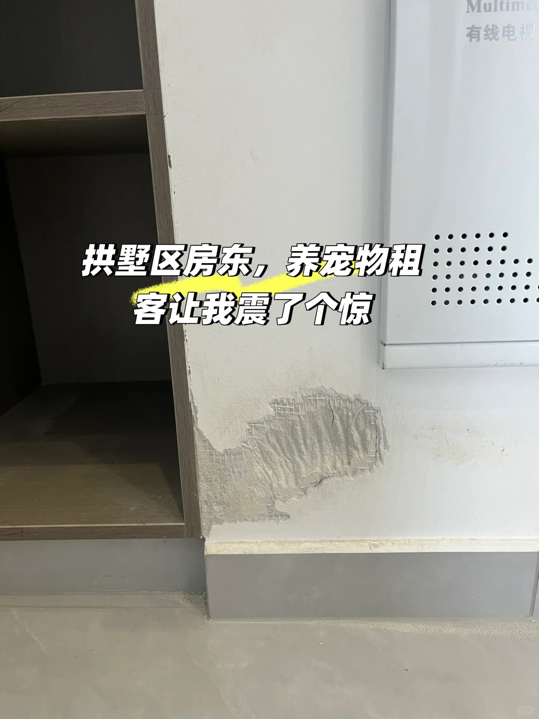 租客养宠物，新房出租一年变破房