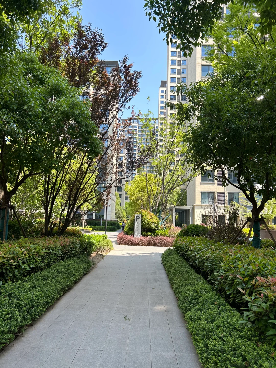 感谢合肥房价🙏让我住上包河130平电梯洋房