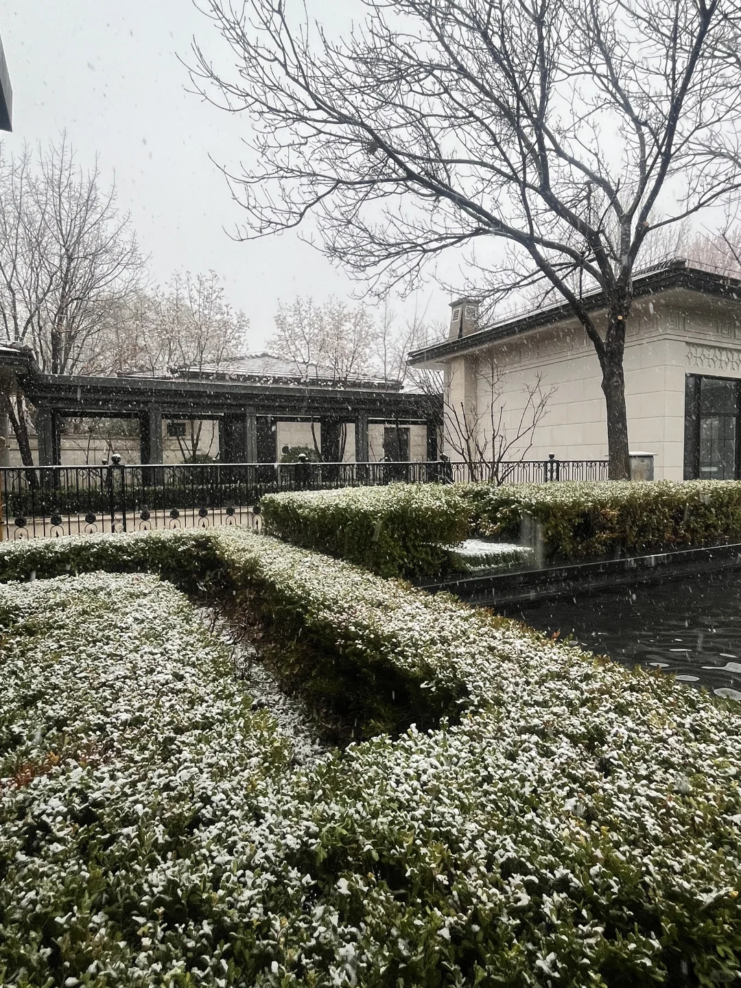 不愧是朝阳第一墅｜北京春雪❄️润泽御府好美