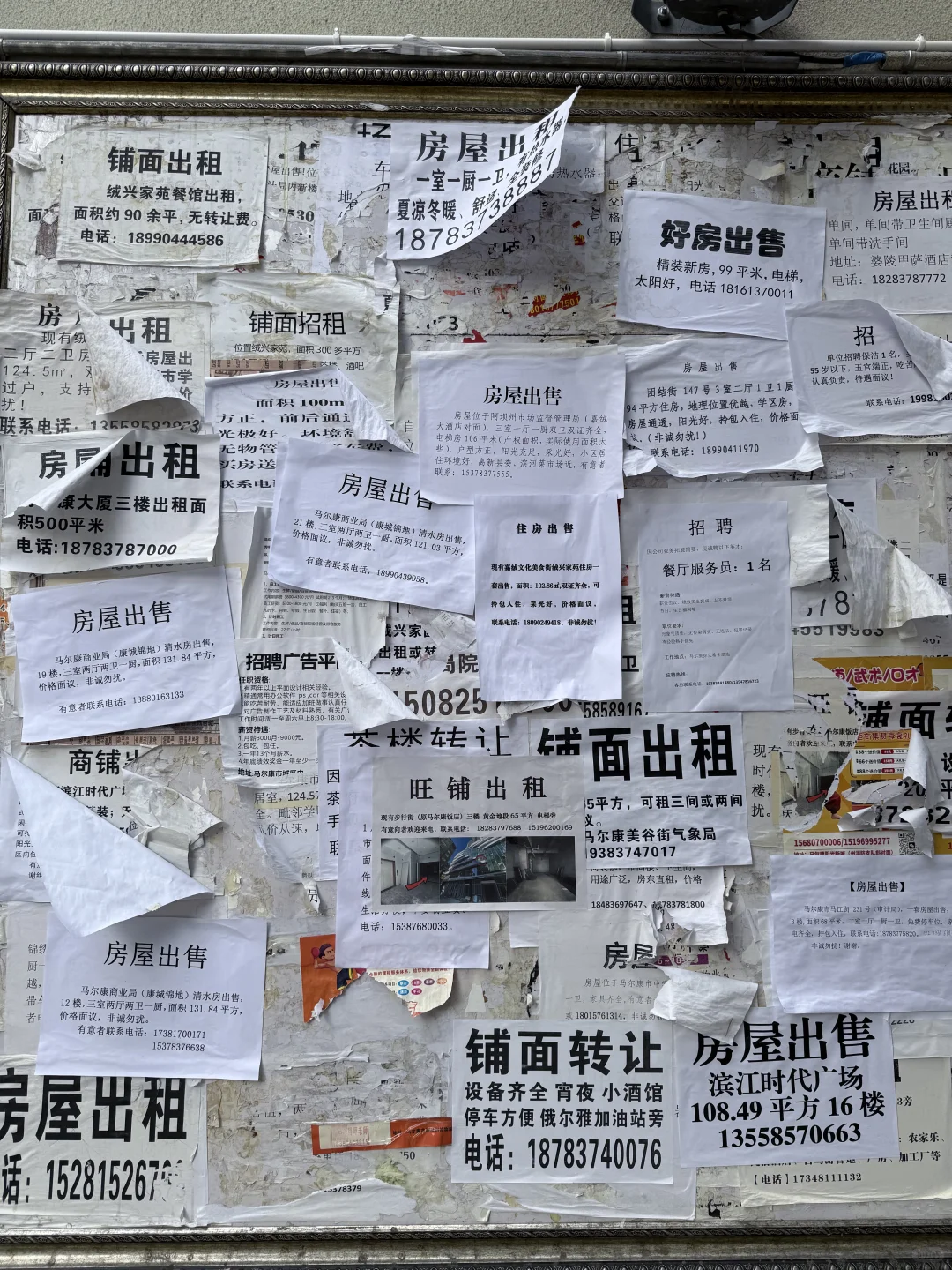 马尔康房屋出租公告栏6.22