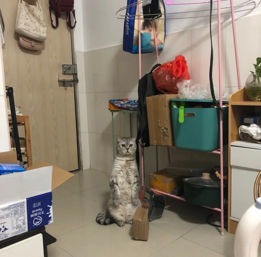 城中村破出租屋的一些改造思路
