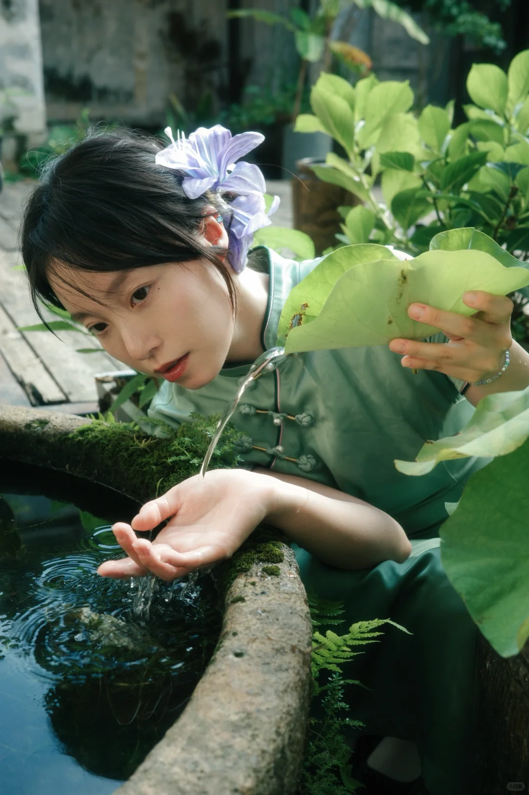 一晴方觉夏深。