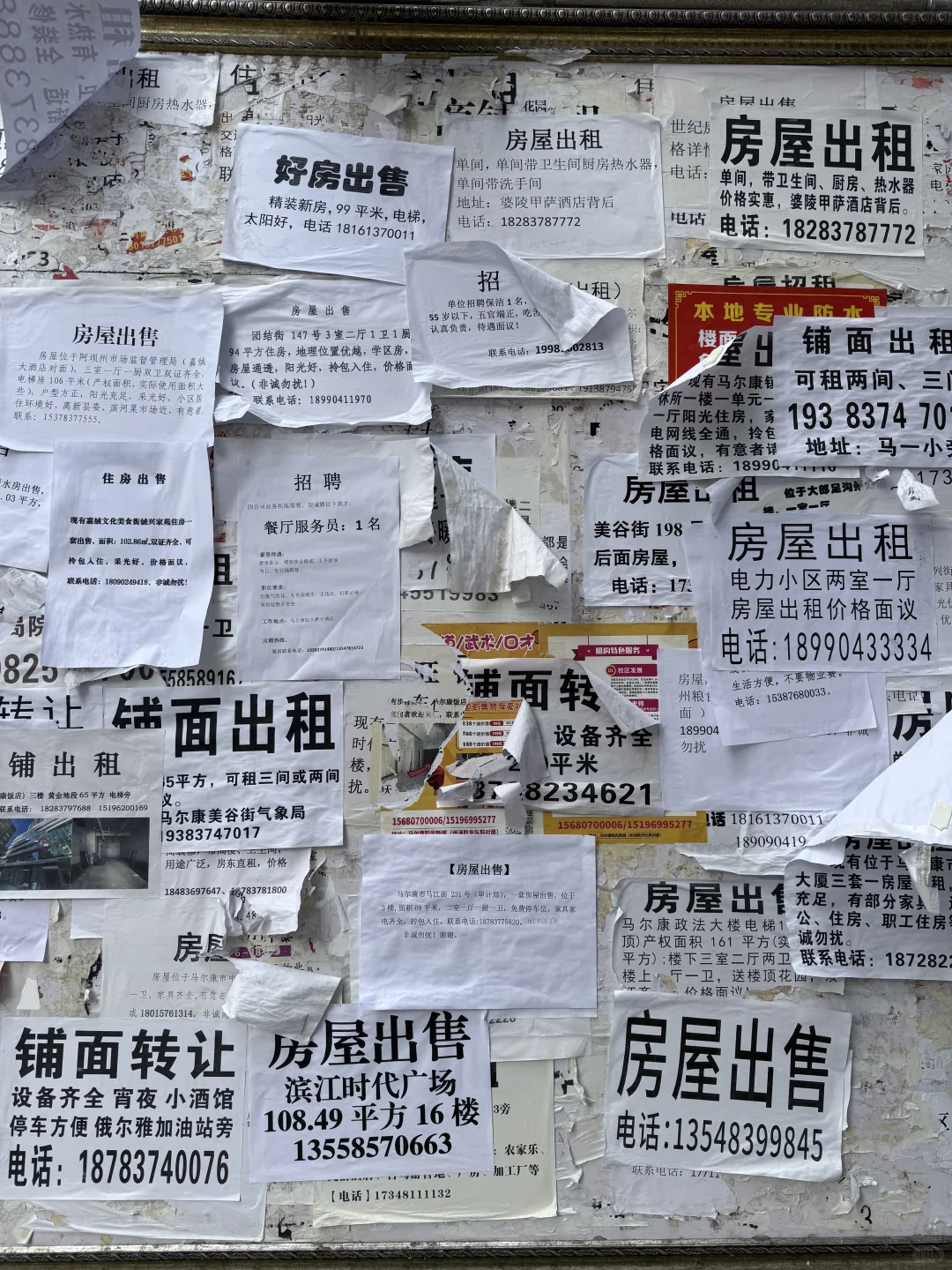 马尔康房屋出租公告栏6.22