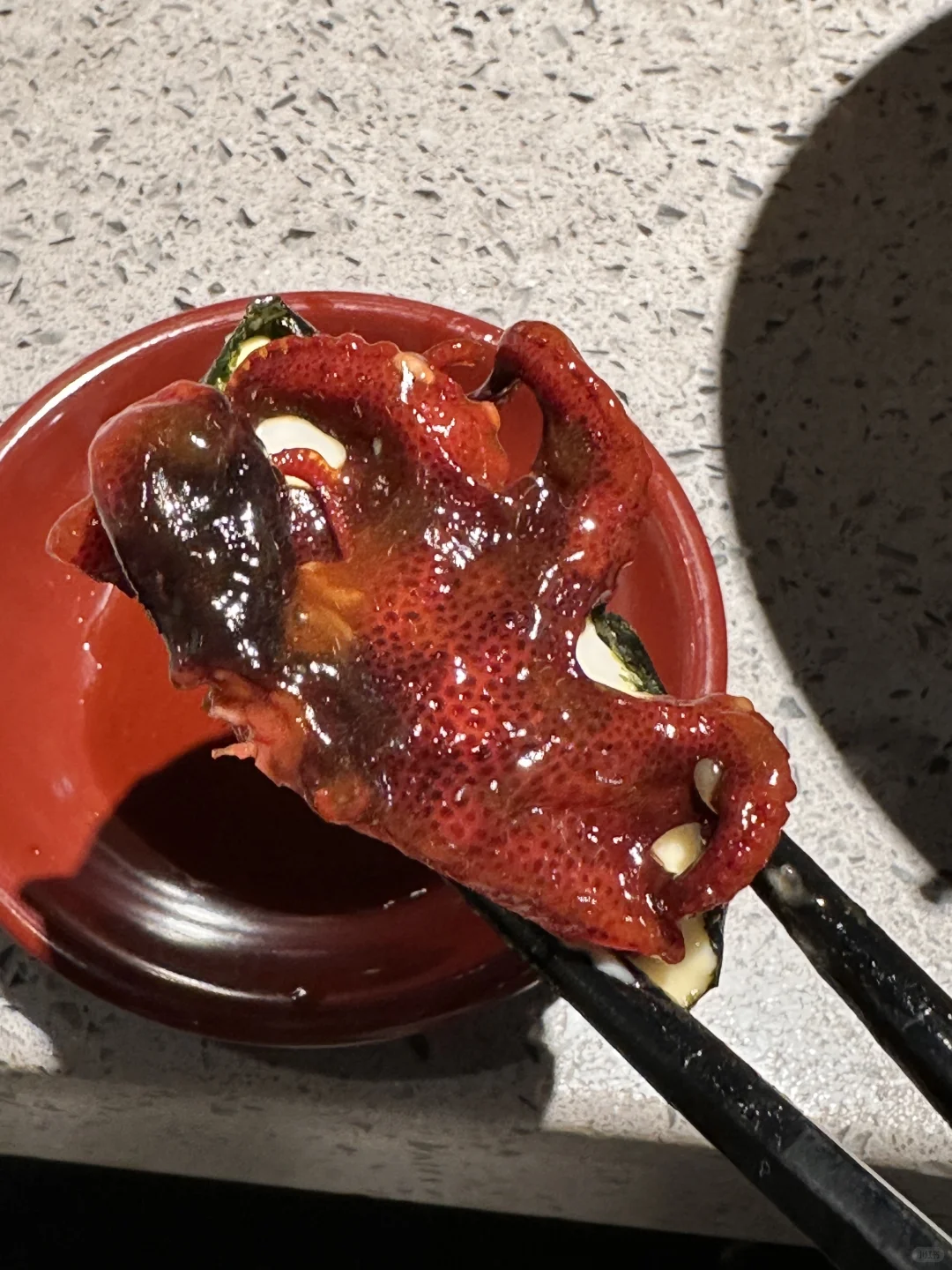 遇到蓝环章鱼