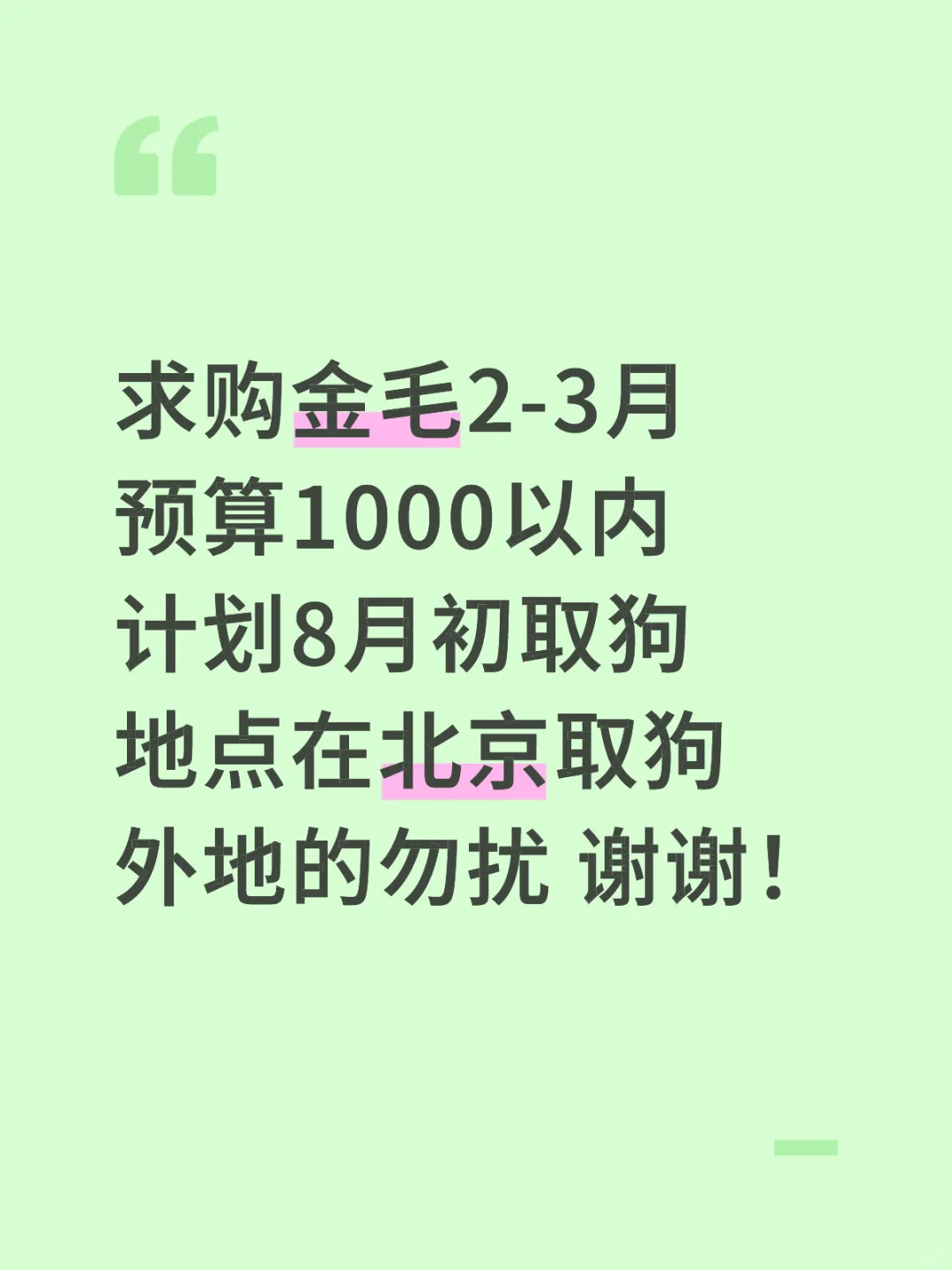 求购金毛一只
