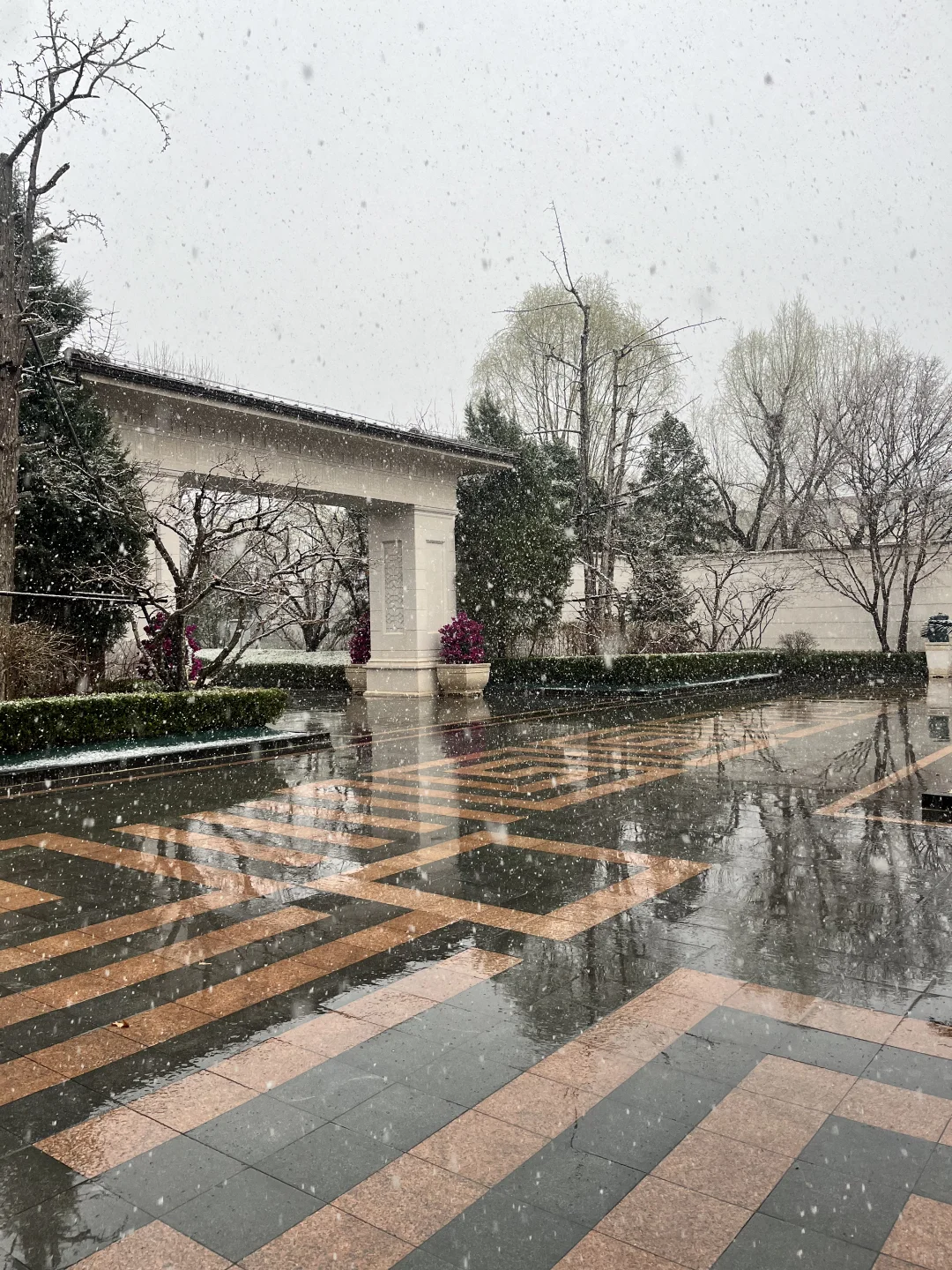 不愧是朝阳第一墅｜北京春雪❄️润泽御府好美