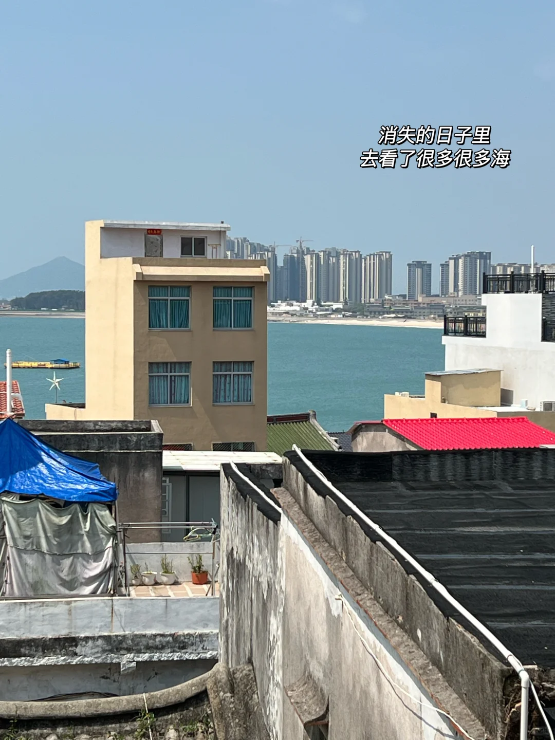 INFP：“我爱你”“我不要了……”