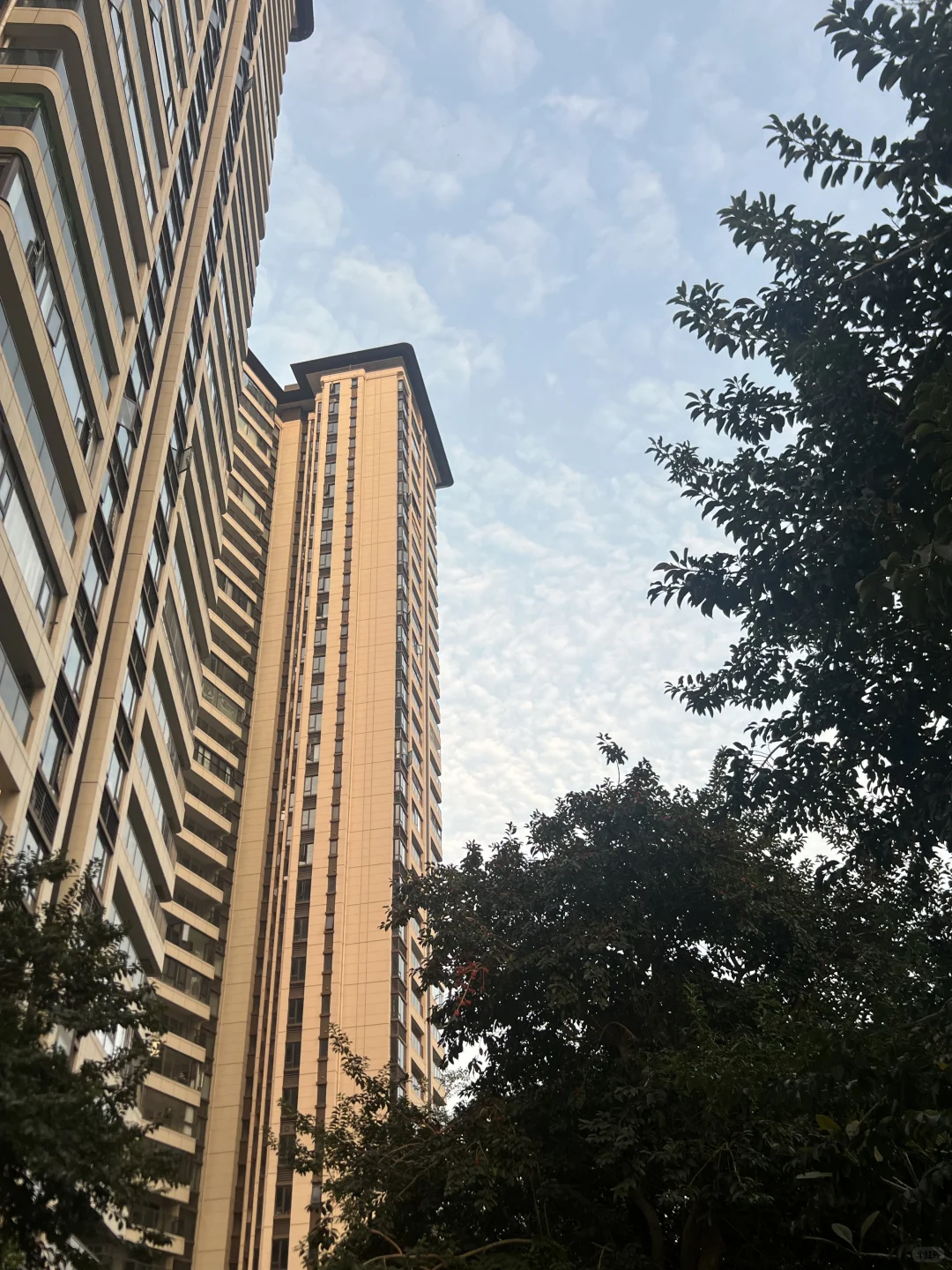 揭阳最喜欢的房子