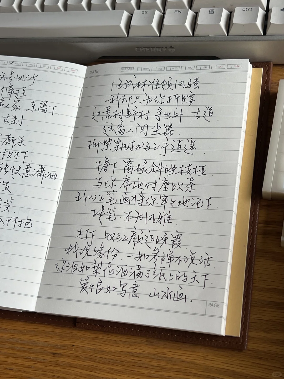 📝 | 任武林谁领风骚，我却只为你折腰