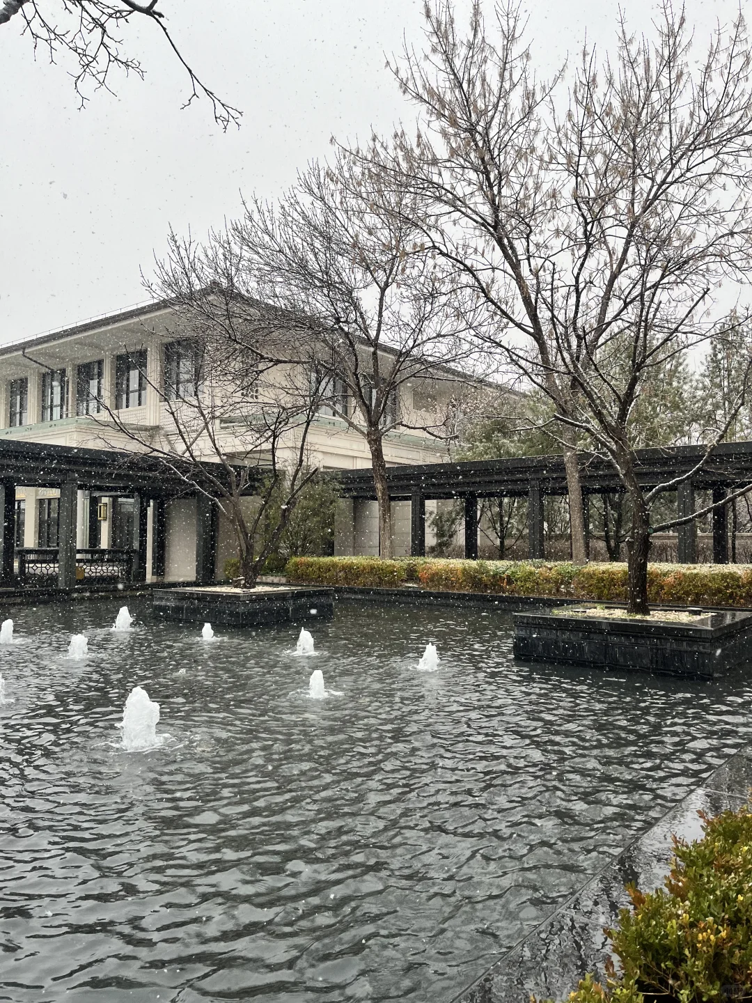不愧是朝阳第一墅｜北京春雪❄️润泽御府好美
