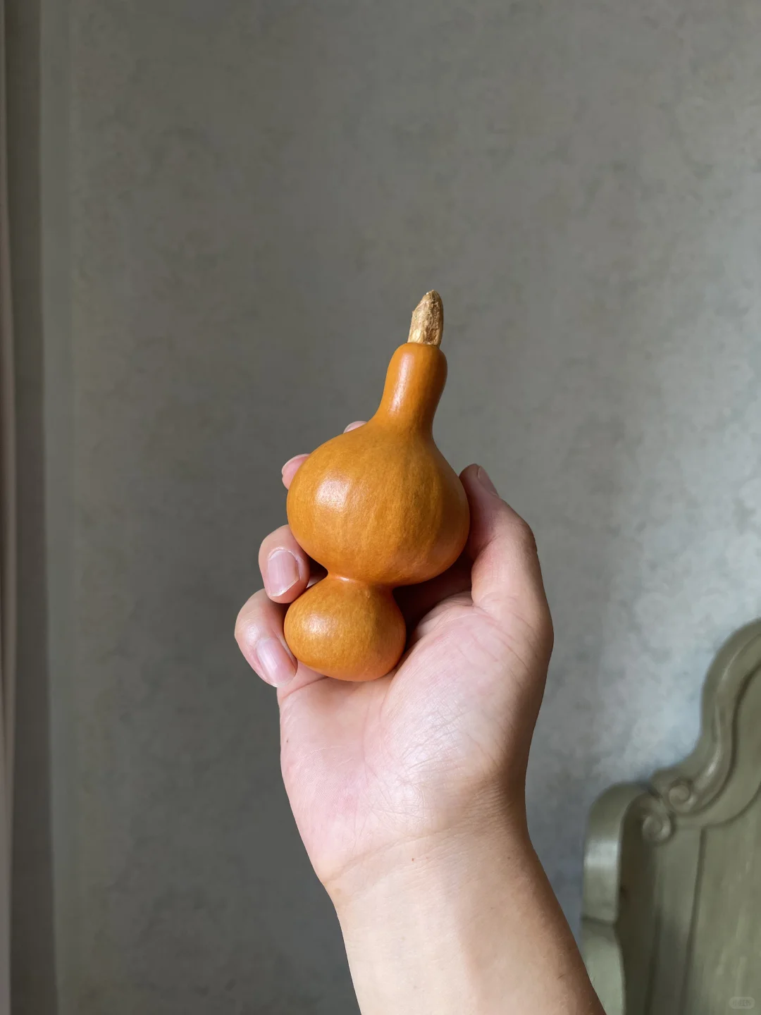 【粗嘴到福禄八宝葫芦】