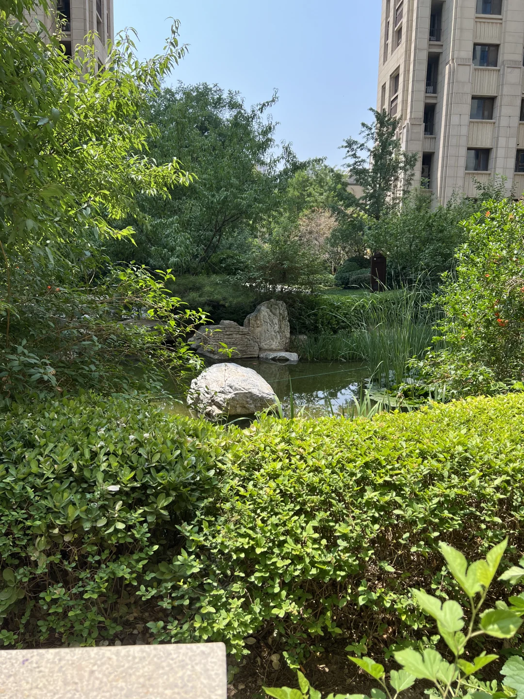 🔥石家庄 | 三室一楼带院 | 直达勒泰北国