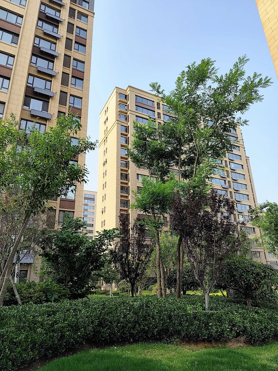 公园里的小区