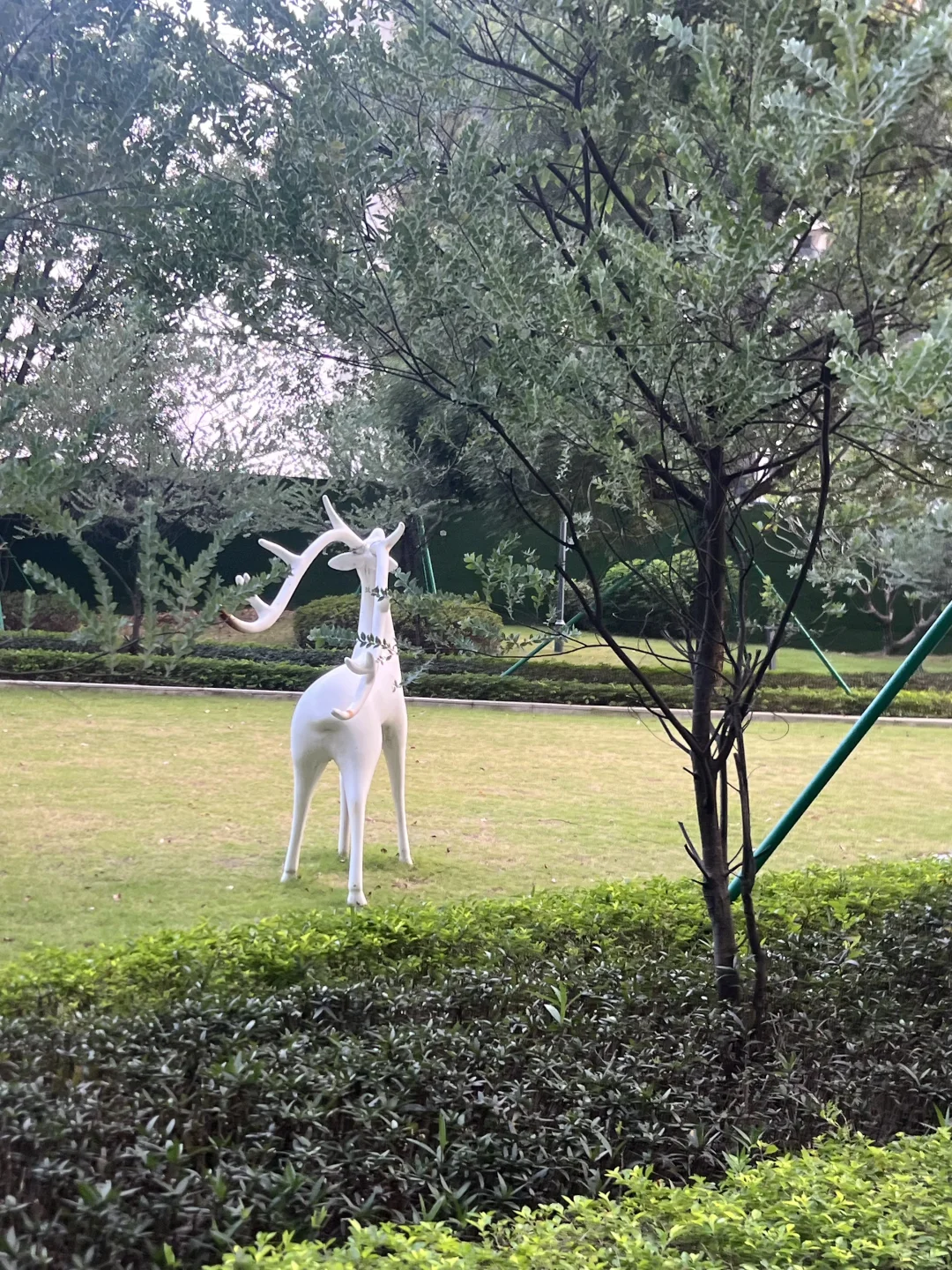 揭阳最喜欢的房子