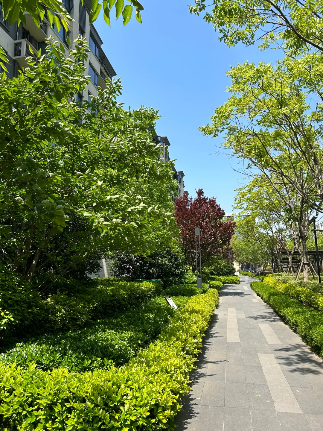 感谢合肥房价🙏让我住上包河130平电梯洋房