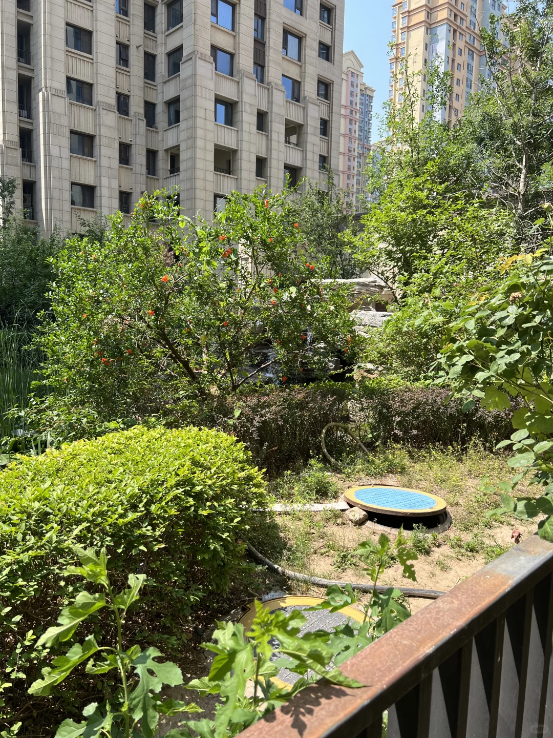 🔥石家庄 | 三室一楼带院 | 直达勒泰北国