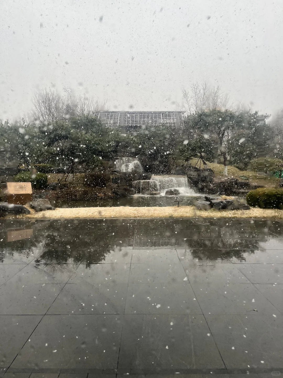 不愧是朝阳第一墅｜北京春雪❄️润泽御府好美