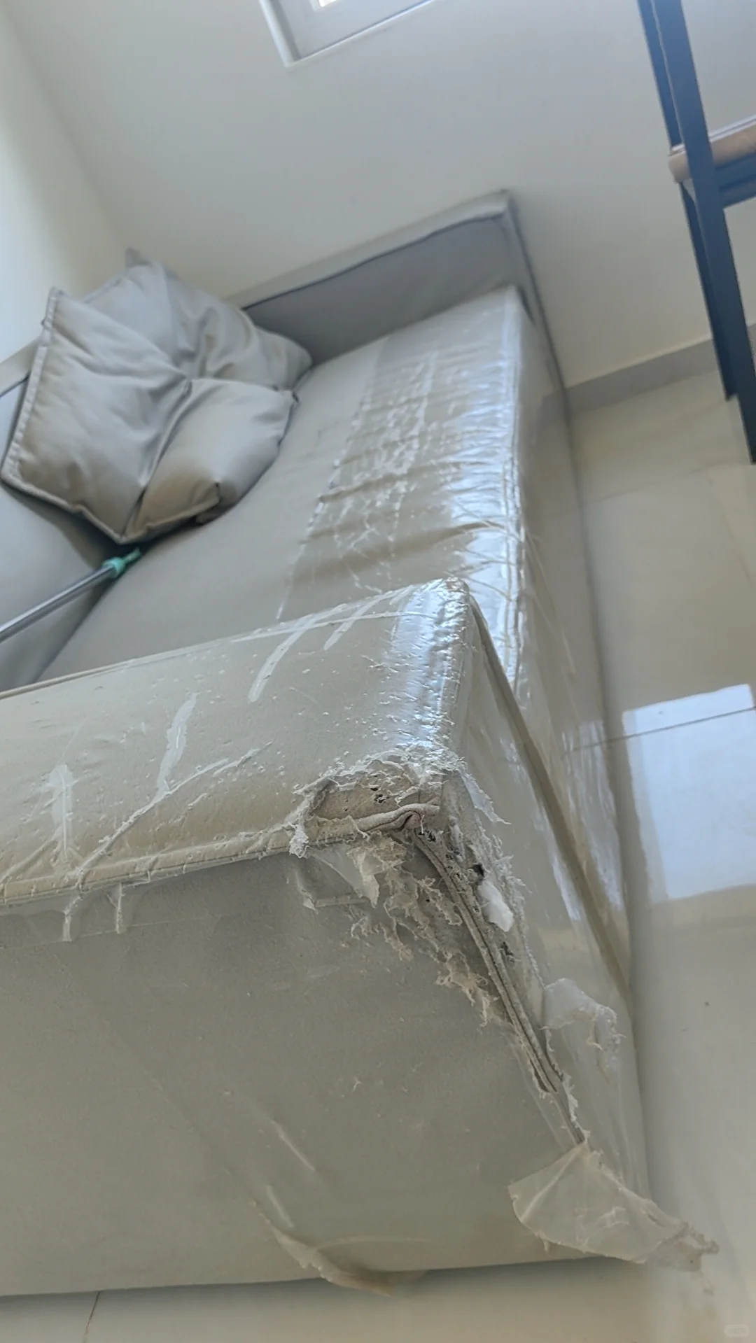 这就是租房宠物友好的后果？？？