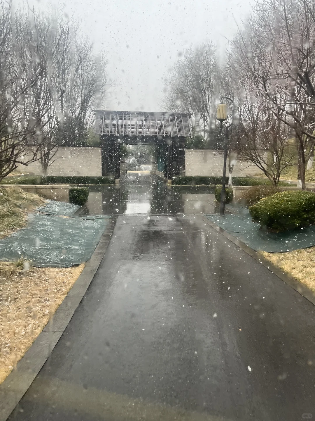 不愧是朝阳第一墅｜北京春雪❄️润泽御府好美