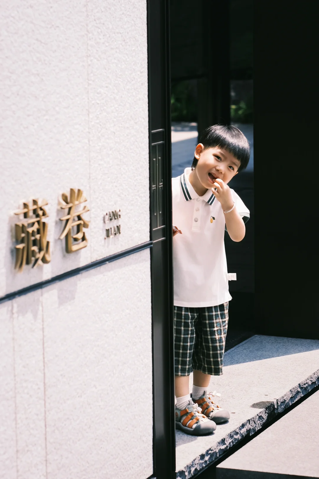 合肥看房｜168玫瑰园对面新中式雅宅一眼心动