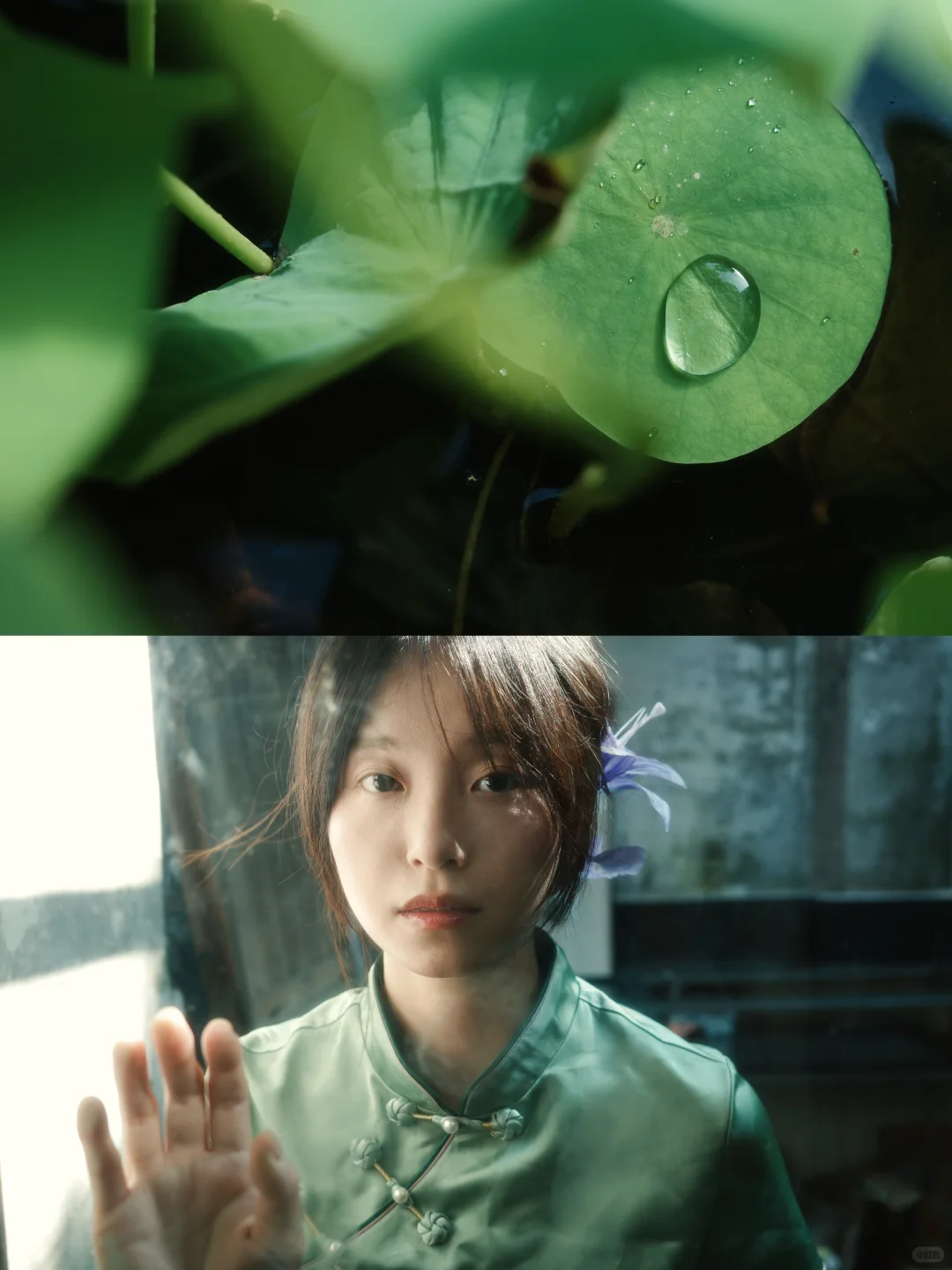 一晴方觉夏深。