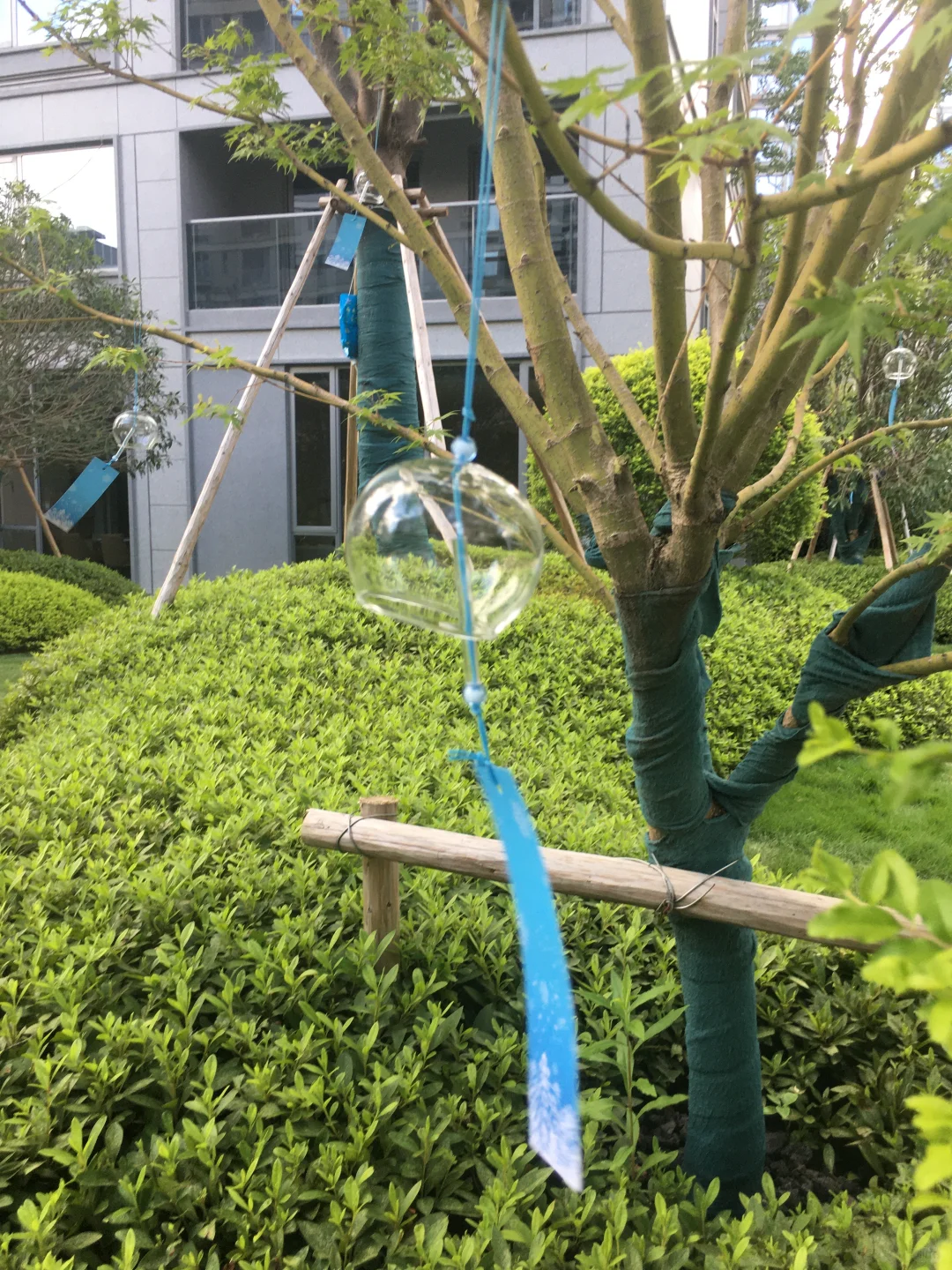 收房了 买了别人不要的四楼🏠