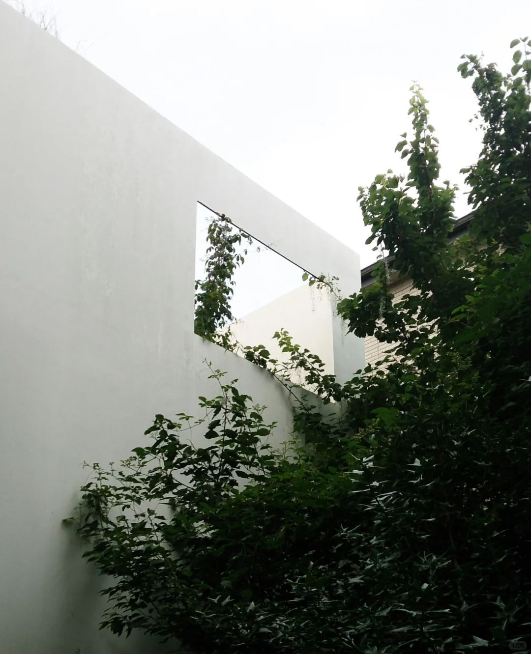 李子林住宅 SANAA