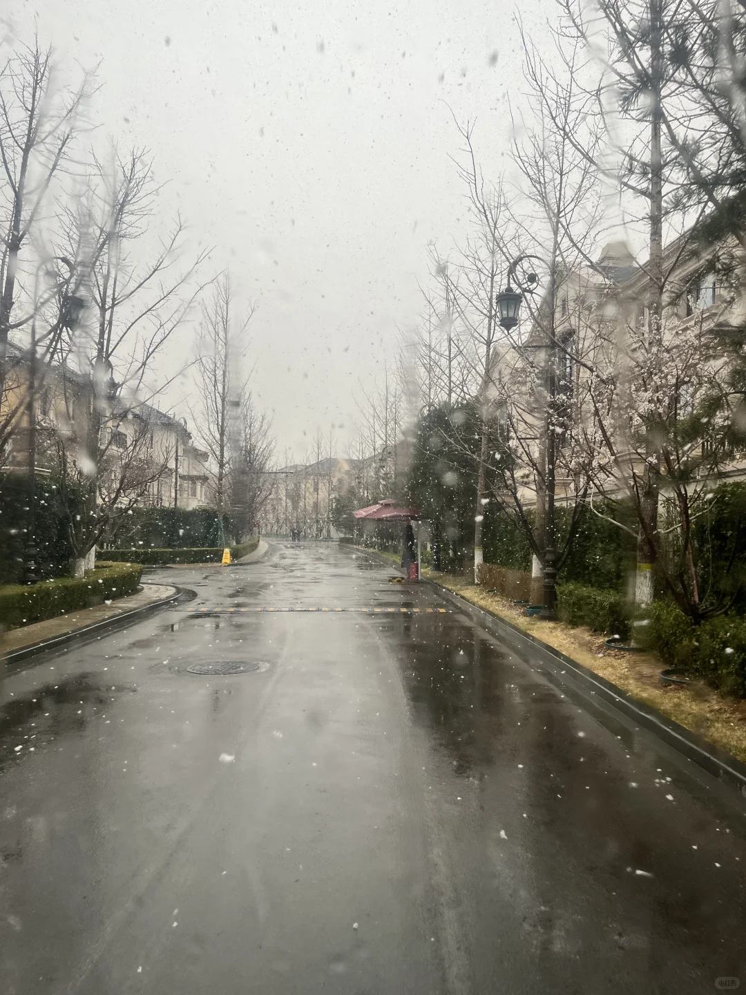 不愧是朝阳第一墅｜北京春雪❄️润泽御府好美
