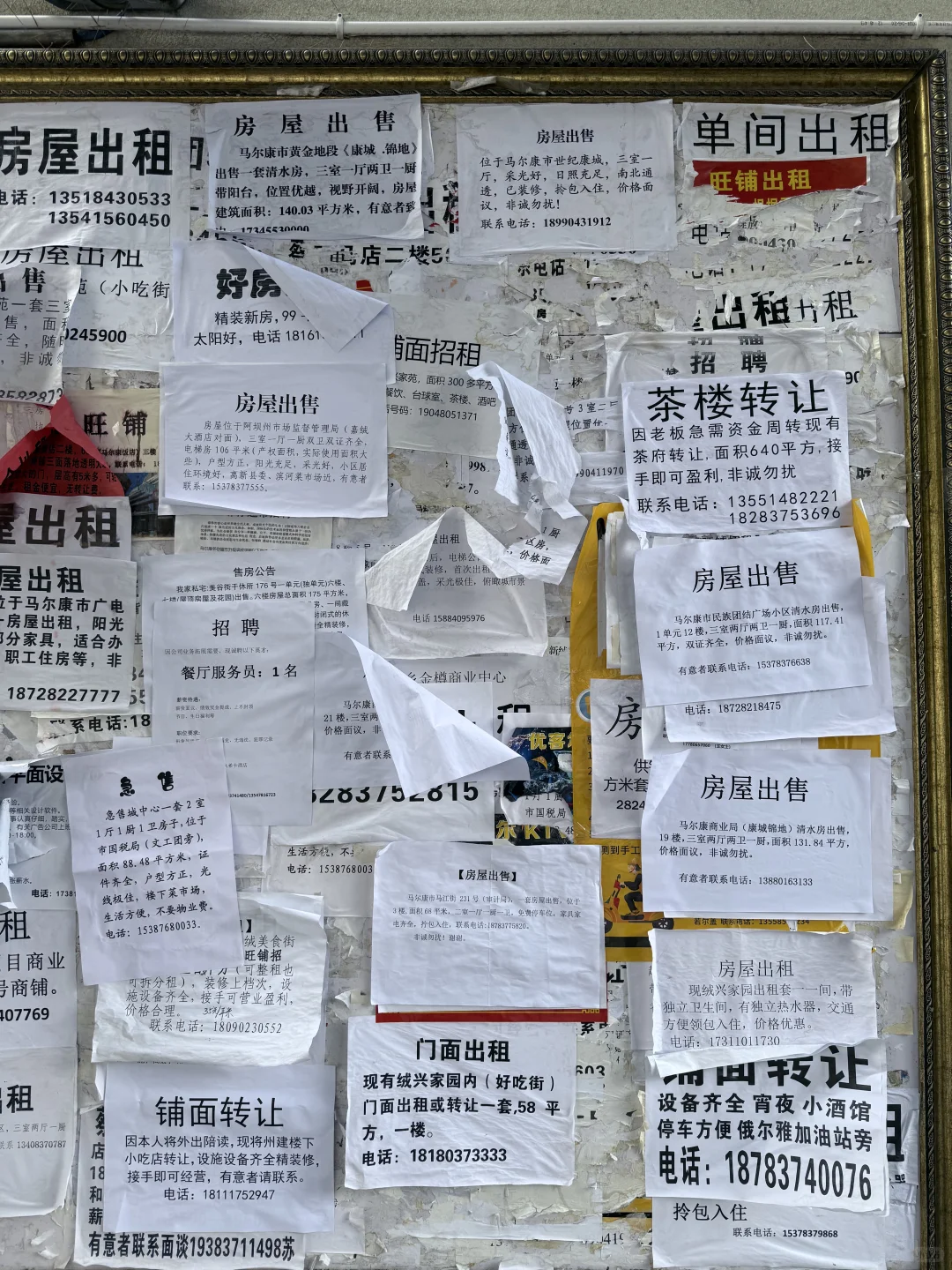 马尔康房屋出租公告栏6.22