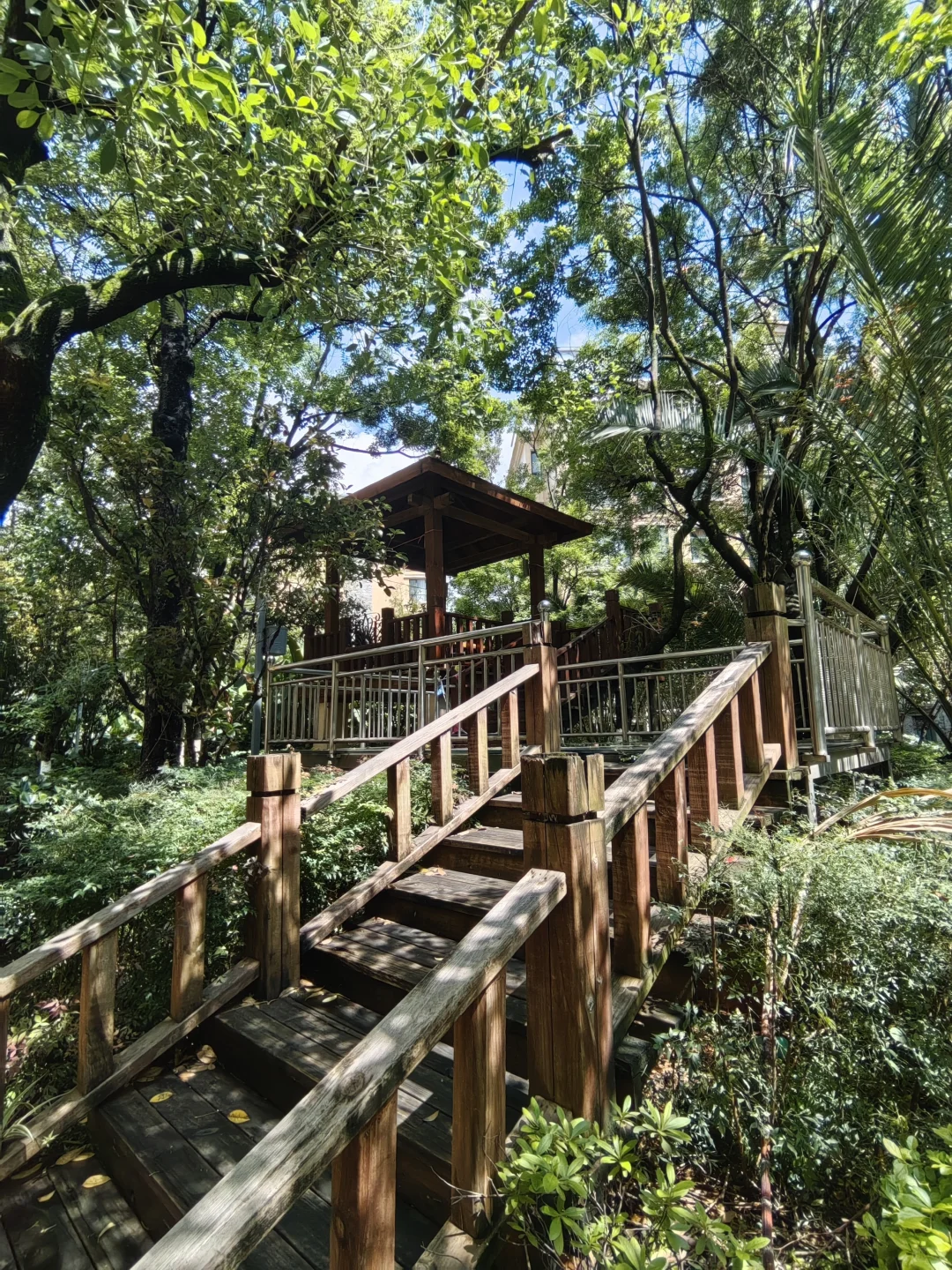 🌿拥有一套公园里的洋房是种什么体验？
