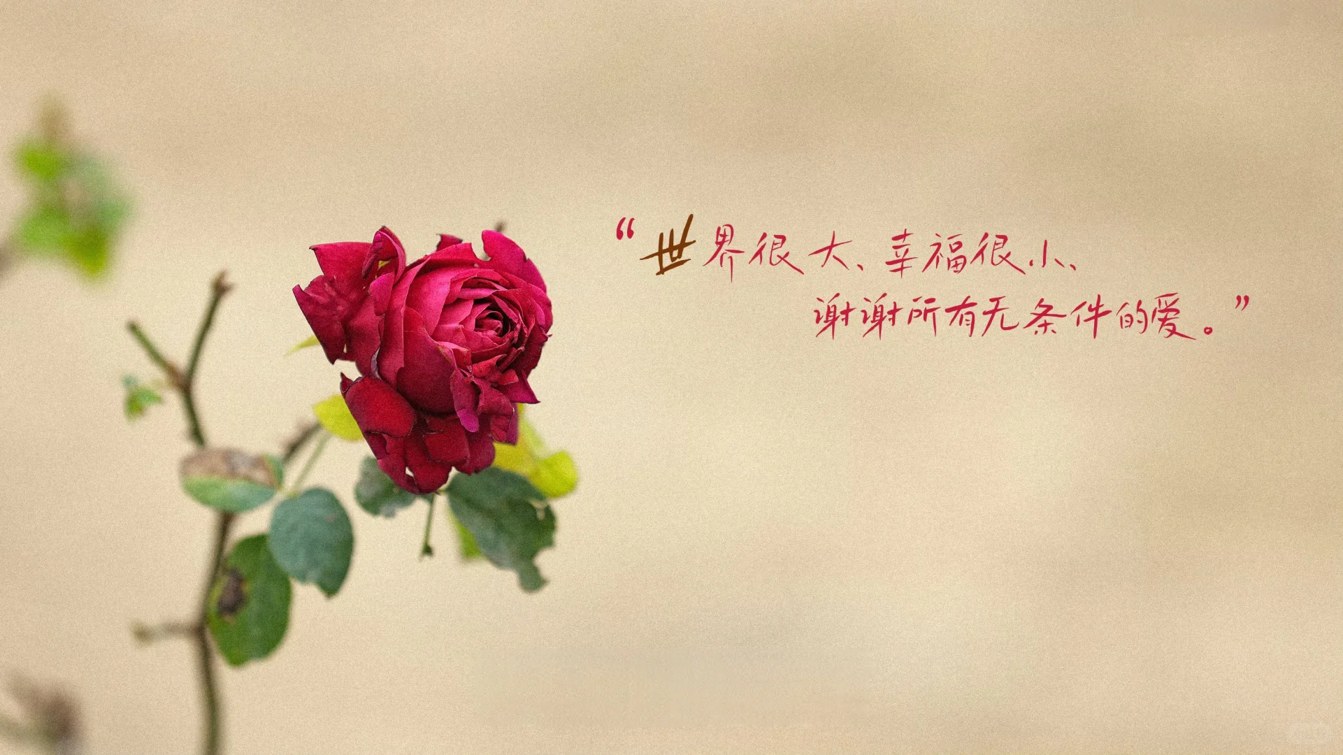 种地吧最爱的几张电脑壁纸