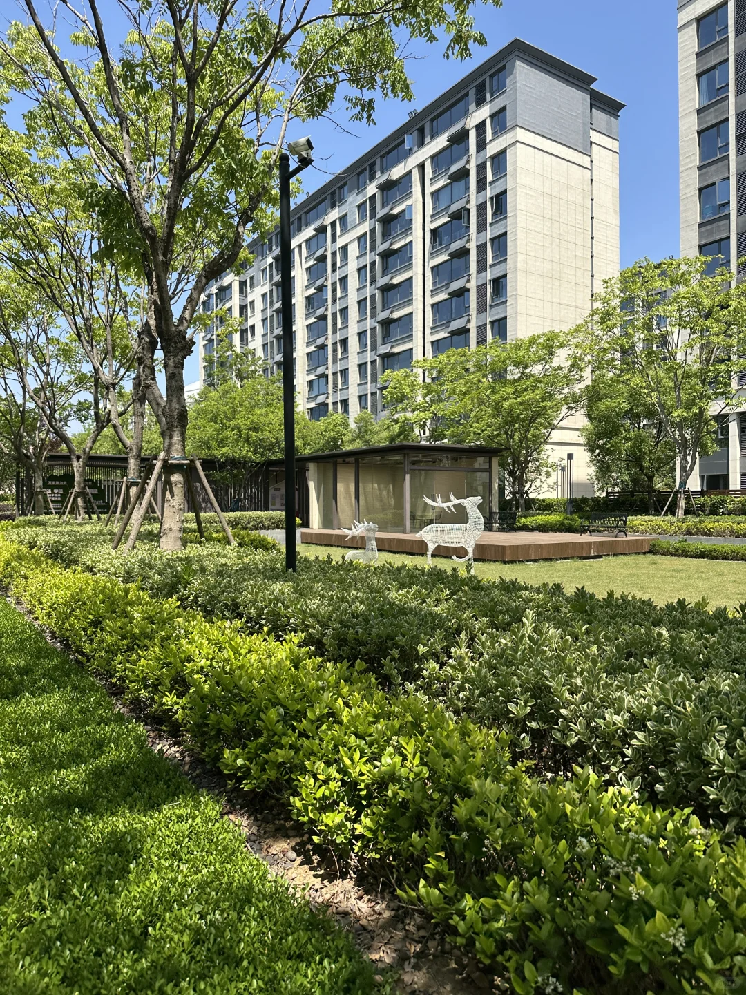 😭合肥包河次新11层洋房🏡无税148万！