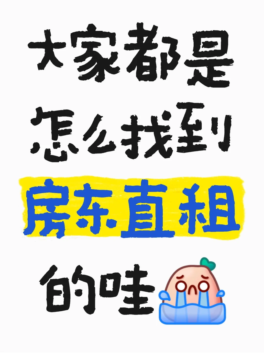 大家都是怎么找到房东直租的哇