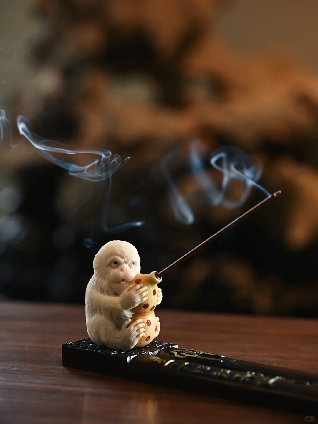 这只小猴子真的好乖～心都被萌化了～