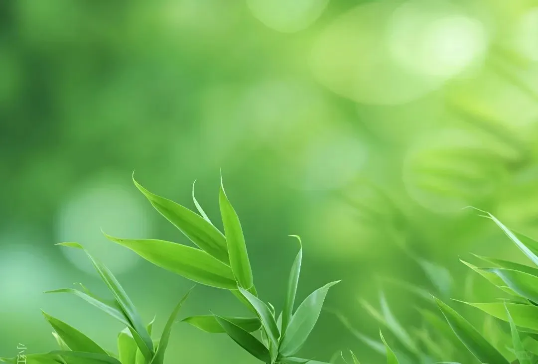 护眼神器！电脑平板专属壁纸，告别视力疲劳