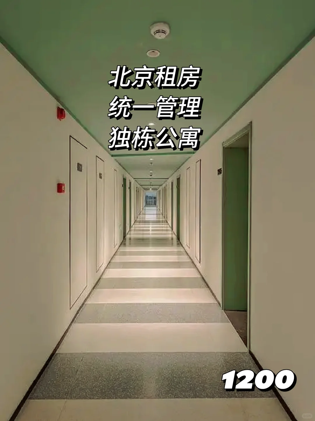 北京租房/独栋公寓整租一居室 1200