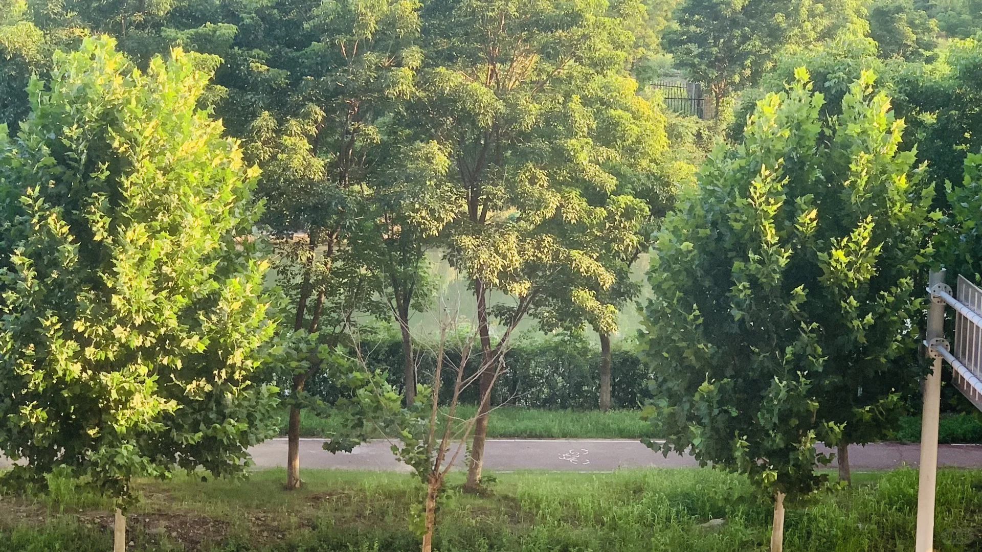 武汉南湖自己卖房第十一天